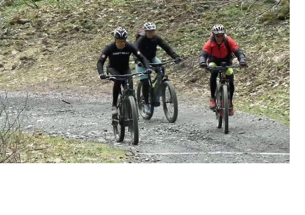 Le Cocon Du Catogne Proche Martigny Verbier - Netflix - Valettes Exterior foto