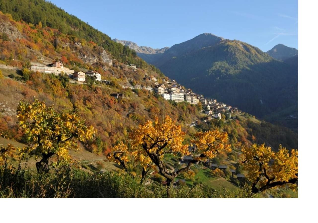 Le Cocon Du Catogne Proche Martigny Verbier - Netflix - Valettes Exterior foto
